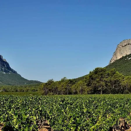 Gite Du Pic Saint Loup Valflaunes Exterior photo