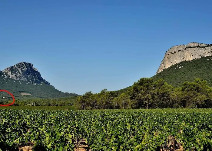 Gite Du Pic Saint Loup